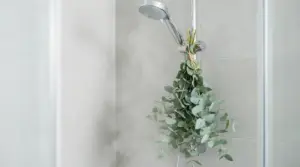Ramo di eucalipto appeso alla doccia con vapore visibile nell’ambiente